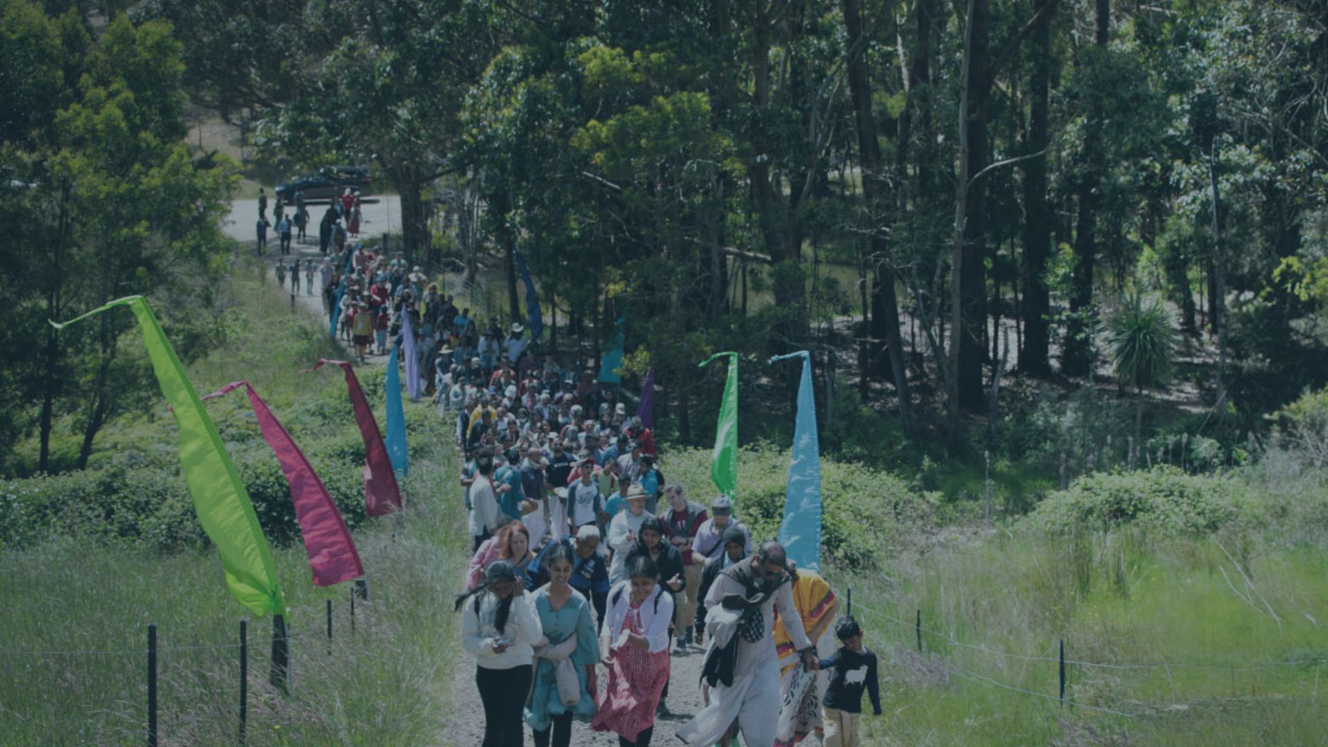 Celebrating Unity in Diversity : The Holi Festival