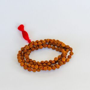 Rudraksha